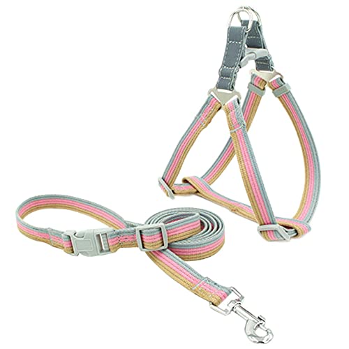 Hundegeschirr， Mit Leine Hundegeschirr Weste Verstellbares Welpen-Katzen-Spazierhalsband und Sets Kleine Mittlere Hundeleine Kette Rot S(Pink,S) von SBJKLYRN