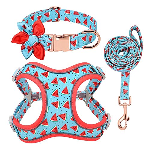 SBJKLYRN Hundegeschirr， Hunde- und Katzengeschirr-Set, blau bedrucktes Hundehalsband, Leine, personalisiertes, Geschirr, Laufleine(L) von SBJKLYRN