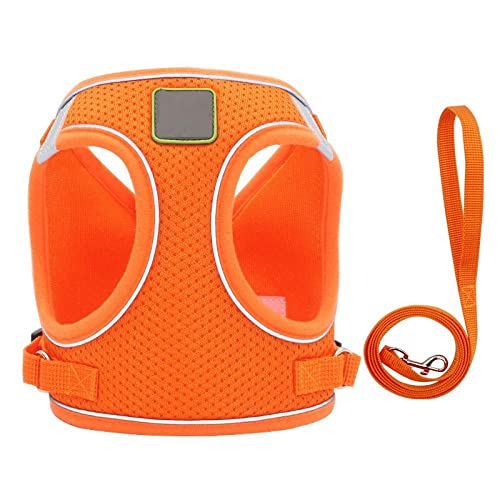 SBJKLYRN Hundegeschirr， Hunde- und Katzengeschirr-Set, orangefarbenes Nylon-Welpen- Katzengeschirr, Weste, reflektierendes Hundegeschirr Leine-Set(L) von SBJKLYRN