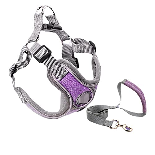 SBJKLYRN Hundegeschirr， Hunde- und Katzengeschirr-Set, violett, for Haustiere, verstellbar, for Hunde, Welpen, Weste, Halsband, Leine, Hundezubehör, XS(L) von SBJKLYRN
