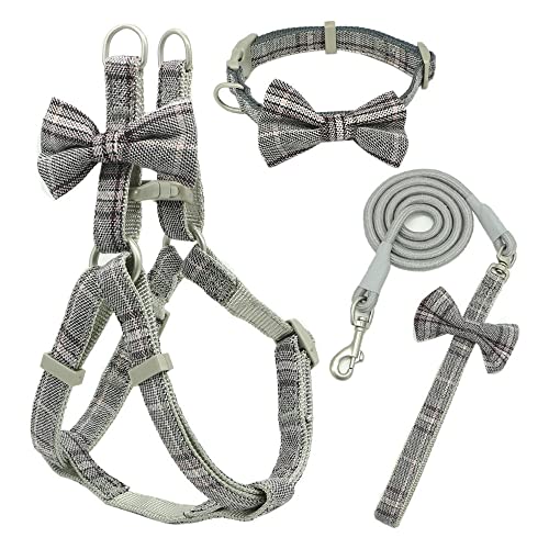 SBJKLYRN Hundegeschirr， Hundeleine Set Haustiergeschirr und Halsband Verstellbare Schleife Nylon for kleine mittelgroße Hundeleinen Outdoor Walking Haustierbedarf DM(B,S) von SBJKLYRN