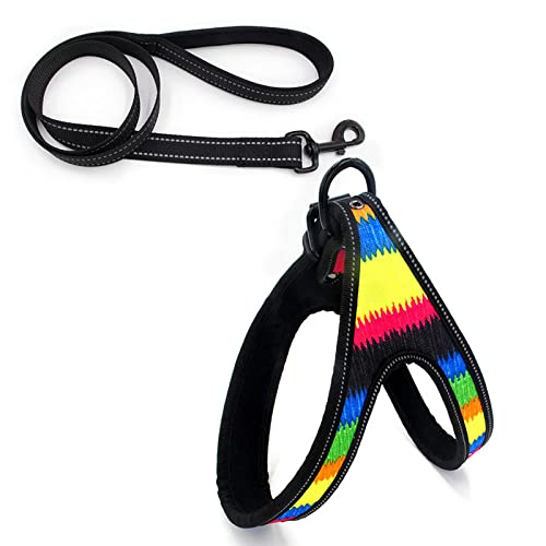 SBJKLYRN Hundegeschirr， Leine Set Reflektierende Hundegeschirre und Walking Training Hunde Harness Weste for Welpen große Haustier Leinen ES(F,S) von SBJKLYRN