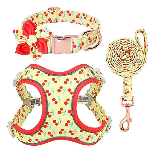 SBJKLYRN Hundegeschirr， Leinen-Set, gelb bedrucktes Hundehalsband, personalisiertes, Geschirr, Laufleine for mittelgroße und große Hunde, S(L) von SBJKLYRN
