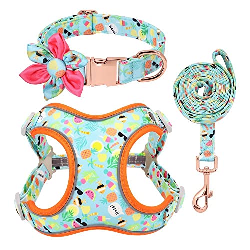 SBJKLYRN Hundegeschirr， Leinen-Set, grün bedrucktes Hundehalsband, personalisiertes, Geschirre, Laufleine for mittelgroße und große Hunde, M(M) von SBJKLYRN