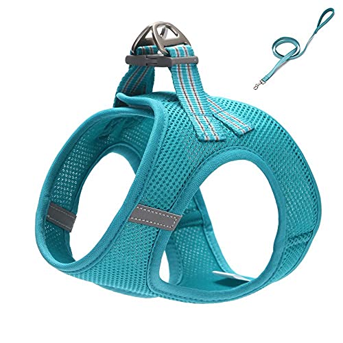 SBJKLYRN Hundegeschirr， Leinenset Blaue Hundeleine Katzenleine Verstellbares Geschirr Weste Laufleine for Welpen Hunde Halsband(L) von SBJKLYRN