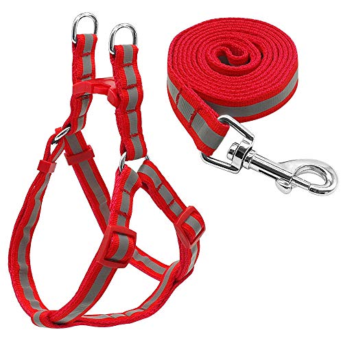 SBJKLYRN Hundegeschirr， Leinenset Rot Kleine Hunde Geschirr Halsband Nylon Reflektierende Leine Welpe for Mittelgroße M(M) von SBJKLYRN