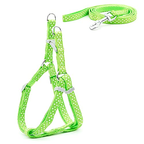 SBJKLYRN Hundegeschirr， Leinenset for Hunde, Bedruckt, Geschirr for kleine, und Leine, Set for Spaziergänge mit der Katze, 3 m(14,XS) von SBJKLYRN