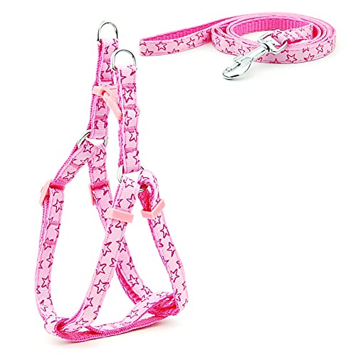 SBJKLYRN Hundegeschirr， Leinenset for Hunde, Bedruckt, Geschirr for kleine, und Leine, Set for Spaziergänge mit der Katze, 3 m(17,XS) von SBJKLYRN