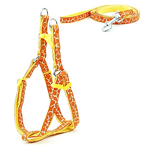 SBJKLYRN Hundegeschirr， Leinenset for Hunde, Bedruckt, Geschirr for kleine, und Leine, Set for Spaziergänge mit der Katze, 3 m(25,M) von SBJKLYRN