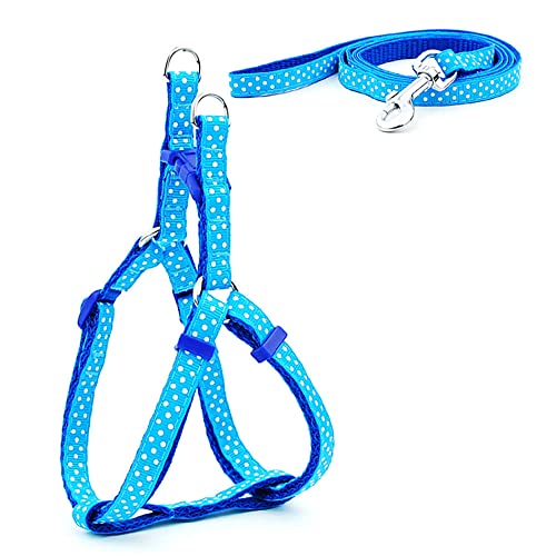 SBJKLYRN Hundegeschirr， Leinenset for Hunde, Bedruckt, Geschirr for kleine, und Leine, Set for Spaziergänge mit der Katze, 3 m(3,S) von SBJKLYRN