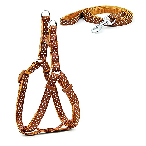 SBJKLYRN Hundegeschirr， Leinenset for Hunde, Bedruckt, Geschirr for kleine, und Leine, Set for Spaziergänge mit der Katze, 3 m(8,S) von SBJKLYRN