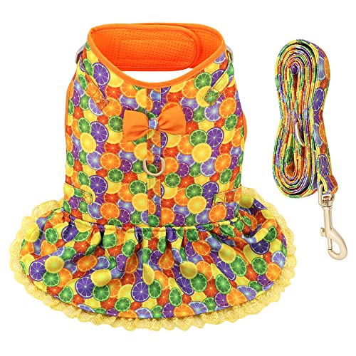 SBJKLYRN Hundegeschirr， Mit Blei Gedruckt Leine Set Haustiere Welpen Kleidung Kleid Kleine Hund Weste Blau S(Orange,L) von SBJKLYRN
