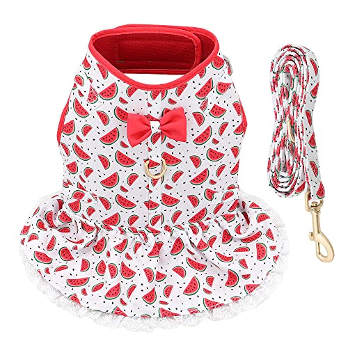 SBJKLYRN Hundegeschirr， Mit Blei Gedruckt Leine Set Haustiere Welpen Kleidung Kleid Kleine Hund Weste Blau S(White,S) von SBJKLYRN
