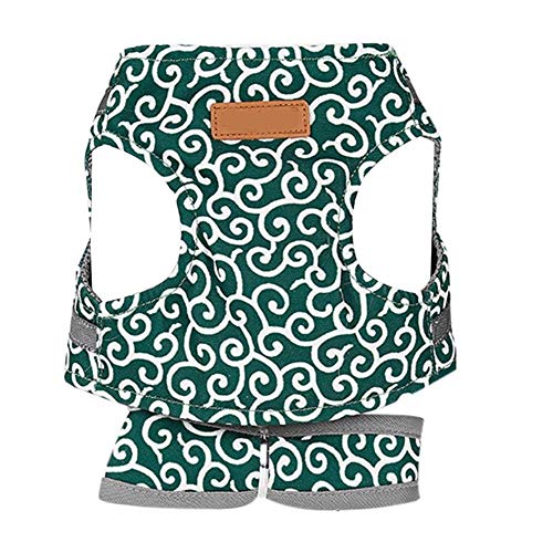 SBJKLYRN Hundegeschirr， Mit Blei Haustier Weste Kragen Outdoor Walking Leine Set Tierbedarf for Kleine Hunde Katzen Rot Xs(Green,S) von SBJKLYRN