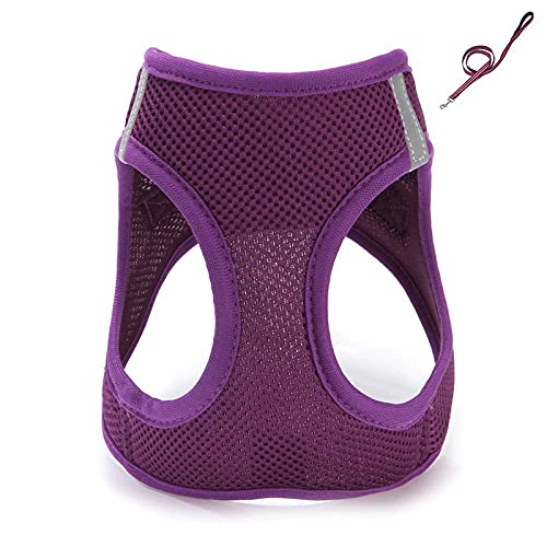 SBJKLYRN Hundegeschirr， Mit Leine Violette Hundeleine Katze Verstellbares Geschirr Weste Gehleine for Welpen Hunde Halsband(L) von SBJKLYRN