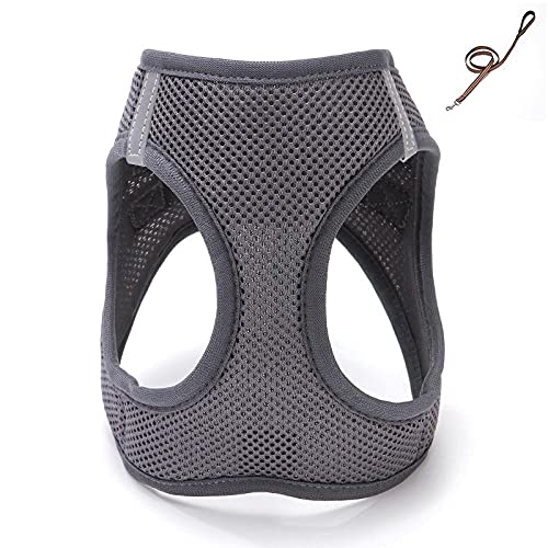 SBJKLYRN Hundegeschirr， Und Leine Graue Hundeleine Katze Verstellbares Geschirr Weste Gehleine for Welpen Hunde Halsband(L) von SBJKLYRN