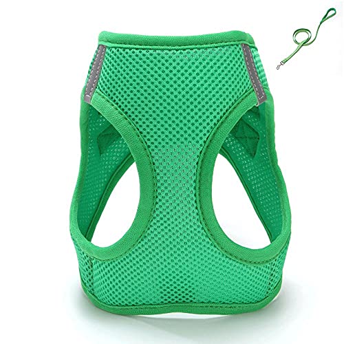 SBJKLYRN Hundegeschirr， Und Leine Grüne Hundeleine Katze Verstellbares Geschirr Weste Gehleine for Welpen Hunde Halsband(XL) von SBJKLYRN