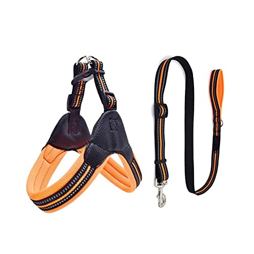SBJKLYRN Hundegeschirr， Und Leine Orange Reflektierendes Haustiergeschirr Set Hundegeschirre for Kleine Mittelgroße Hunde Haustierzubehör L(M) von SBJKLYRN