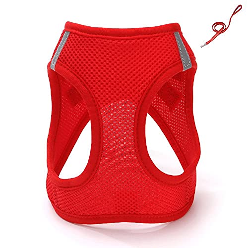 SBJKLYRN Hundegeschirr， Und Leine Rote Hundeleine Katzen Verstellbares Geschirr Weste Laufleine for Welpen Hunde Halsbandgeschirr for Kleine Mittelgroße S(XL) von SBJKLYRN