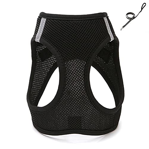 SBJKLYRN Hundegeschirr， Und Leine Schwarze Hundeleine Katze Verstellbares Geschirr Weste Gehleine for Welpen Hunde Halsband(L) von SBJKLYRN