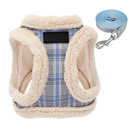 SBJKLYRN Hundegeschirr， Und Leine Weiche Weste Gepolsterte Haustier Welpen Geschirr Set Einstellbar for Kleine Mittelgroße Hunde Blau M(Blue,M) von SBJKLYRN