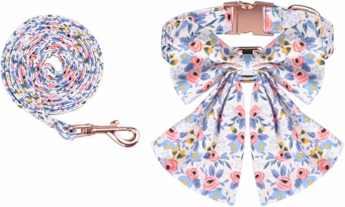 SBJKLYRN Hundehalsband， Personalisiertes Hundehalsband und Leine Set mit Schleife Blumendruck Frühling Fliege Haustierhalsbänder(Blue,M) von SBJKLYRN