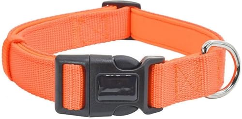 SBJKLYRN Hundehalsband， Taktisches Hundehalsband aus Nylon, personalisiertes Dickes, weich und verstellbar, militärisches Trainingshalsband for Welpen(Orange,S) von SBJKLYRN