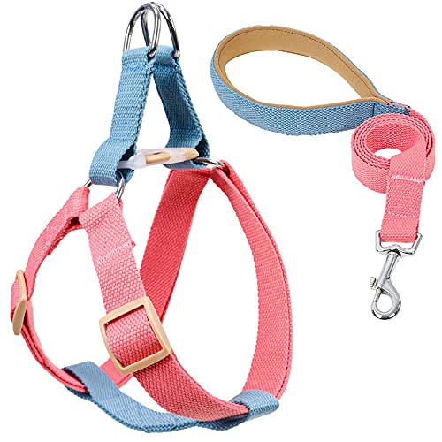 SBJKLYRN Hundeleine， Katzen-Hundegeschirr mit Blei-Hundegeschirr und Leine, kein Ziehen, Nylon-Haustierleinen for kleine Hunde, Blei-Leine Halsband-Set GL(A,M) von SBJKLYRN
