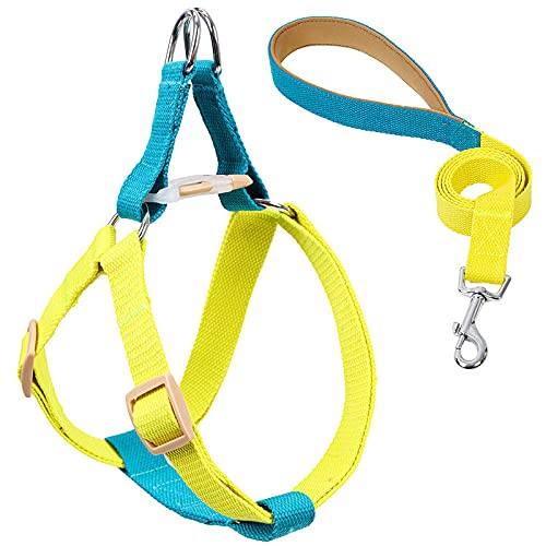 SBJKLYRN Hundeleine， Katzen-Hundegeschirr mit Blei-Hundegeschirr und Leine, kein Ziehen, Nylon-Haustierleinen for kleine Hunde, Blei-Leine Halsband-Set GL(B,S) von SBJKLYRN