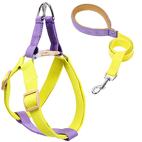 SBJKLYRN Hundeleine， Katzen-Hundegeschirr mit Blei-Hundegeschirr und Leine, kein Ziehen, Nylon-Haustierleinen for kleine Hunde, Blei-Leine Halsband-Set GL(C,L) von SBJKLYRN