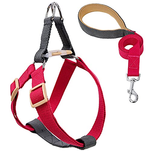 SBJKLYRN Hundeleine， Katzen-Hundegeschirr mit Blei-Hundegeschirr und Leine, kein Ziehen, Nylon-Haustierleinen for kleine Hunde, Blei-Leine Halsband-Set GL(F,L) von SBJKLYRN
