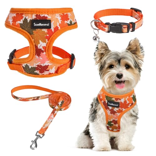 SCENEREAL Hundegeschirr für kleine Hunde, Halsband und Leine, verstellbar, kein Ziehen, weiches Netzgewebe, für Hunde, mittelgroße Hunde, Katzen, Chihuahua, Yorkie, Größe S von SCENEREAL