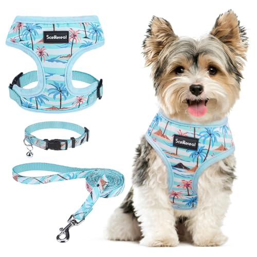 SCENEREAL Hundegeschirr für kleine Hunde und Leine, kein Ziehen, Hundegeschirr für kleine und mittelgroße Hunde, weiche Netzweste für Welpen, Chihuahua, Yorkie, Frühling, Sommer, Wandern, SCENEREAL Hundegeschirr für kleine Hunde und Leine, kein Ziehen, Hundegeschirr für kleine und mittelgroße Hunde, weiche Netzweste für Welpen, Chihuahua, Yorkie, Frühling, Sommer, Wandern, von SCENEREAL