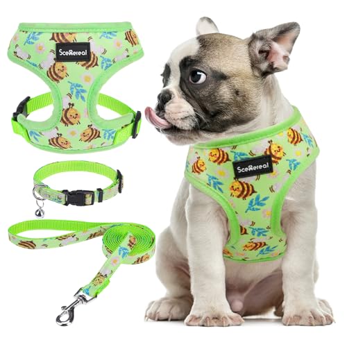 SCENEREAL Hundegeschirr für kleine Hunde und Leine, kein Ziehen, Hundegeschirr für kleine und mittelgroße Hunde, weiche Netzweste für Welpen, Chihuahua, Yorkie, Frühling, Sommer, Wandern, SCENEREAL Hundegeschirr für kleine Hunde und Leine, kein Ziehen, Hundegeschirr für kleine und mittelgroße Hunde, weiche Netzweste für Welpen, Chihuahua, Yorkie, Frühling, Sommer, Wandern, von SCENEREAL
