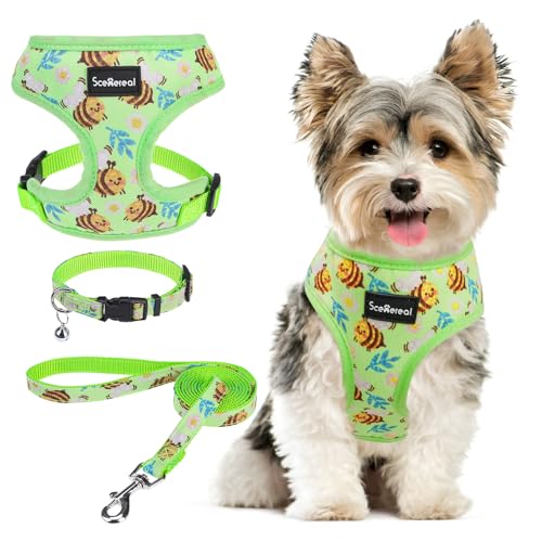 SCENEREAL Hundegeschirr für kleine Hunde und Leine, kein Ziehen, Hundegeschirr für kleine und mittelgroße Hunde, weiche Netzweste für Welpen, Chihuahua, Yorkie, Frühling, Sommer, Wandern, SCENEREAL Hundegeschirr für kleine Hunde und Leine, kein Ziehen, Hundegeschirr für kleine und mittelgroße Hunde, weiche Netzweste für Welpen, Chihuahua, Yorkie, Frühling, Sommer, Wandern, von SCENEREAL