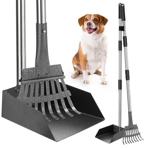 SCENEREAL Hundekotschaufel für den Hof – Tablett und Rechen Set von SCENEREAL