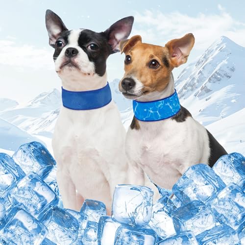 SCENEREAL Kühlendes Halstuch-Halsband für Hunde, mit recycelbaren Kühlakkus, verstellbar, Eiskühlung, Sommer-Schal, Halskühler für Katzen, kleine Hunde, Blau, Größe S SCENEREAL Kühlendes Halstuch-Halsband für Hunde, mit recycelbaren Kühlakkus, verstellbar, Eiskühlung, Sommer-Schal, Halskühler für Katzen, kleine Hunde, Blau, Größe S von SCENEREAL