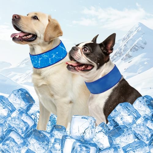 SCENEREAL Kühlendes Halstuch-Halsband für Hunde, mit recycelbaren Kühlakkus, verstellbarer Eiskühl-Sommer-Schal, Halskühler für mittelgroße und große Hunde, Blau, Größe L SCENEREAL Kühlendes Halstuch-Halsband für Hunde, mit recycelbaren Kühlakkus, verstellbarer Eiskühl-Sommer-Schal, Halskühler für mittelgroße und große Hunde, Blau, Größe L von SCENEREAL