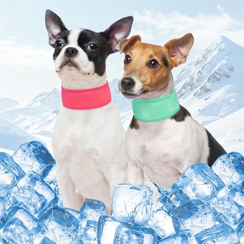 SCENEREAL Kühlendes Halstuch-Halsband für Hunde, mit recycelbaren Kühlakkus, verstellbarer Sommer-Schal, Nackenkühler für Katzen, kleine Hunde, Rosa und Grün, Größe S SCENEREAL Kühlendes Halstuch-Halsband für Hunde, mit recycelbaren Kühlakkus, verstellbarer Sommer-Schal, Nackenkühler für Katzen, kleine Hunde, Rosa und Grün, Größe S von SCENEREAL
