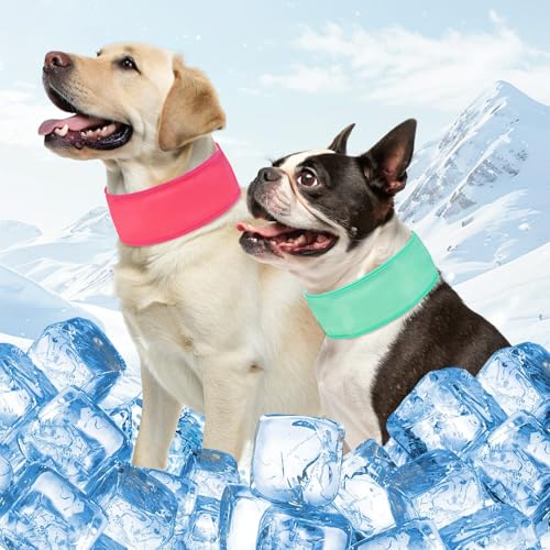 SCENEREAL Kühlendes Halstuch-Halsband für Hunde, mit recycelbaren Kühlakkus, verstellbarer Sommer-Schal, Nackenkühler für Katzen, kleine Hunde, Rosa und Grün, Größe S SCENEREAL Kühlendes Halstuch-Halsband für Hunde, mit recycelbaren Kühlakkus, verstellbarer Sommer-Schal, Nackenkühler für Katzen, kleine Hunde, Rosa und Grün, Größe S von SCENEREAL