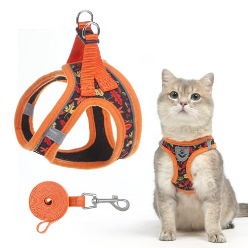 SCENEREAL Thanksgiving-Katzengeschirr und Leine, Set aus Ahornblatt, Größe M von SCENEREAL