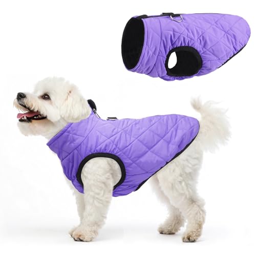 SCENEREAL Warme Hundejacke mit integriertem Geschirr für kleine und mittelgroße Hunde, wasserdichter Hundemantel für kaltes Wetter, mit Reißverschluss, Fleece-Pufferweste, winddichte Schneekleidung SCENEREAL Warme Hundejacke mit integriertem Geschirr für kleine und mittelgroße Hunde, wasserdichter Hundemantel für kaltes Wetter, mit Reißverschluss, Fleece-Pufferweste, winddichte Schneekleidung von SCENEREAL