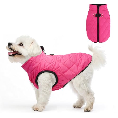 SCENEREAL Warme Hundejacke mit integriertem Geschirr für kleine und mittelgroße Hunde, wasserdichter Hundemantel für kaltes Wetter, mit Reißverschluss, Fleece-Pufferweste, winddichte Schneekleidung SCENEREAL Warme Hundejacke mit integriertem Geschirr für kleine und mittelgroße Hunde, wasserdichter Hundemantel für kaltes Wetter, mit Reißverschluss, Fleece-Pufferweste, winddichte Schneekleidung von SCENEREAL
