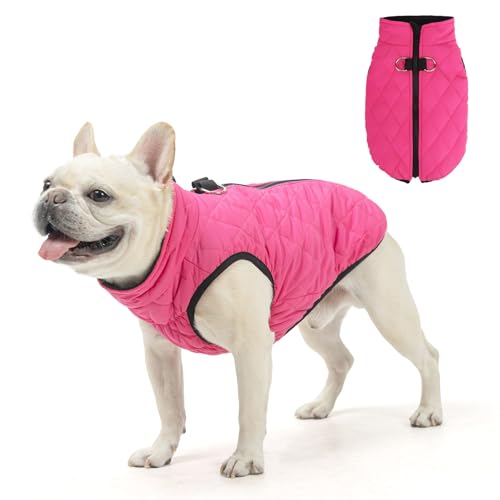 SCENEREAL Hunde-Wintermantel – warme Jacke mit integriertem Geschirr für kleine und mittelgroße Hunde, wasserdicht, Fleece-Pufferweste, winddicht & Schneekleidung für Welpen und Haustiere von SCENEREAL