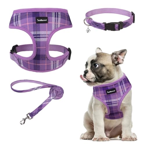 SCENEREAL Hundegeschirr, Halsband und Leine, Set für kleine und mittelgroße Hunde, weiches Netzgewebe, kein Chock, kariert, verstellbare Haustierweste für Spaziergänge im Freien, Training und Laufen, SCENEREAL Hundegeschirr, Halsband und Leine, Set für kleine und mittelgroße Hunde, weiches Netzgewebe, kein Chock, kariert, verstellbare Haustierweste für Spaziergänge im Freien, Training und Laufen, von SCENEREAL