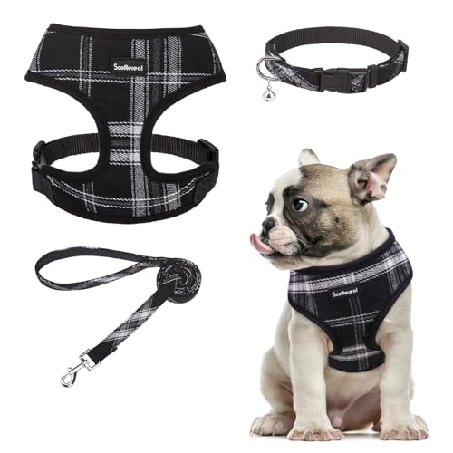 SCENEREAL Welpengeschirr mit Leine, Halsband-Set für kleine und mittelgroße Hunde, Schwarz, Größe M SCENEREAL Welpengeschirr mit Leine, Halsband-Set für kleine und mittelgroße Hunde, Schwarz, Größe M von SCENEREAL