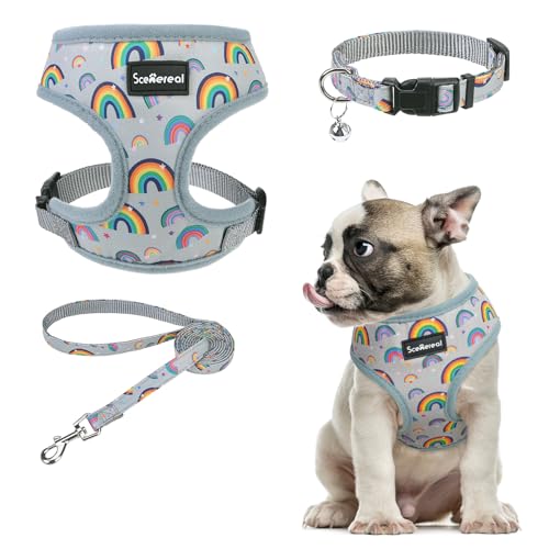 SCENEREAL Welpengeschirr mit Leine, Set für kleine und mittelgroße Hunde, Grau-Regenbogen, Größe M SCENEREAL Welpengeschirr mit Leine, Set für kleine und mittelgroße Hunde, Grau-Regenbogen, Größe M von SCENEREAL