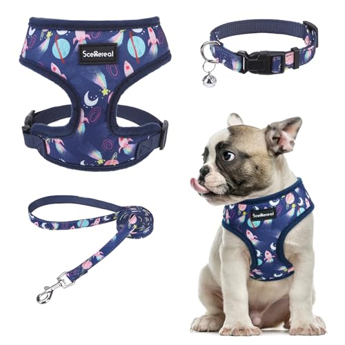 SCENEREAL Welpengeschirr mit Leine, Set für kleine und mittelgroße Hunde, Marineblau, Sternenhimmel, Größe M SCENEREAL Welpengeschirr mit Leine, Set für kleine und mittelgroße Hunde, Marineblau, Sternenhimmel, Größe M von SCENEREAL