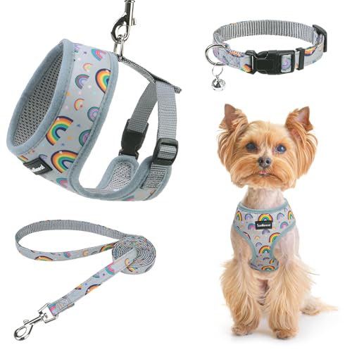 SCENEREAL Welpengeschirr mit Leine für kleine und mittelgroße Hunde, Grau-Regenbogen, Größe XS von SCENEREAL