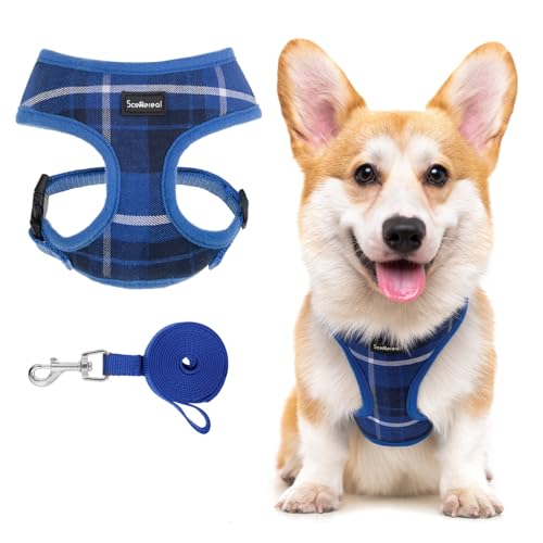 SCENEREAL Welpen-Hundegeschirr mit Leine, Set für kleine und mittelgroße Hunde, weiches Netzgewebe, Haustiergeschirre und Leine, kein Würgen, kariert, verstellbar, kein Ziehen, Weste für Hunde, SCENEREAL Welpen-Hundegeschirr mit Leine, Set für kleine und mittelgroße Hunde, weiches Netzgewebe, Haustiergeschirre und Leine, kein Würgen, kariert, verstellbar, kein Ziehen, Weste für Hunde, von SCENEREAL
